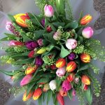 Mixed Tulip Hand Tied from £40
